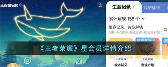 王者星月会员