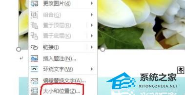 word图片按f4调整不了大小