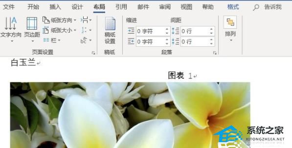 word图片按f4调整不了大小