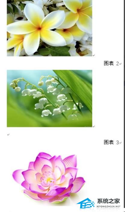 word图片按f4调整不了大小