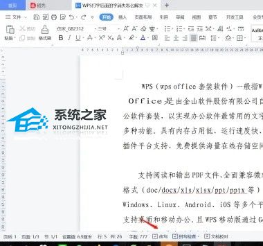 wps打字后面的字消失