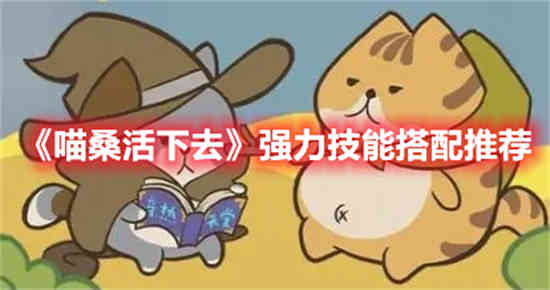 喵桑技能搭配