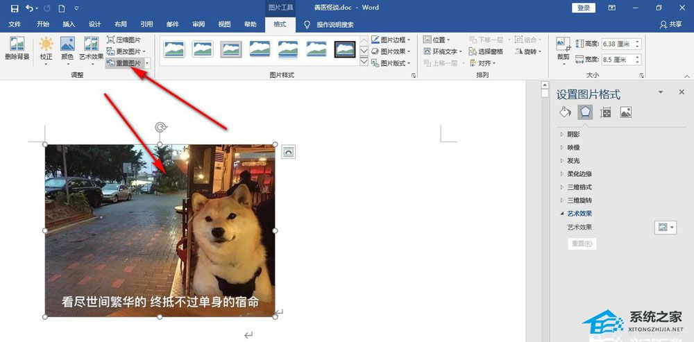 Word怎么使用重置图片功能