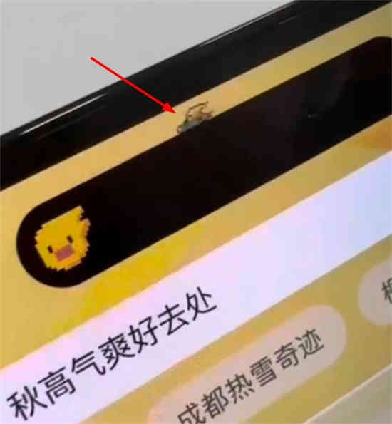苹果灵动岛怎么玩的