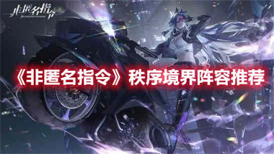 非匿名指令角色强度