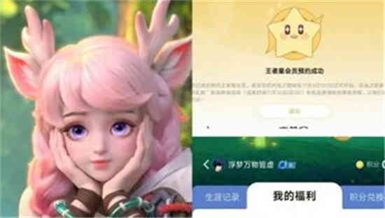 王者荣耀星会员