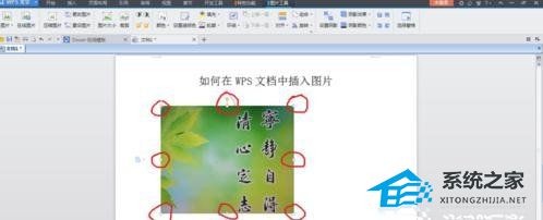 wps里面插图片为什么是倒的
