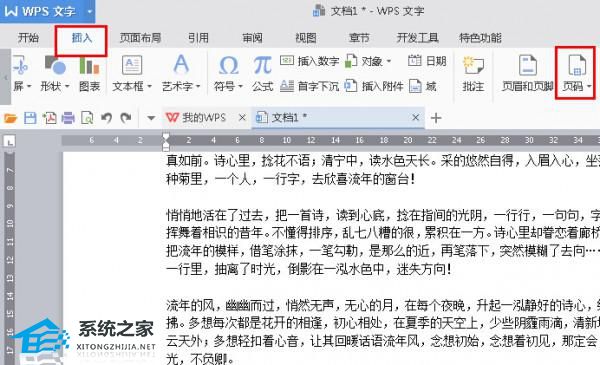 WPS文字怎么给内容快速建立页码方法分享