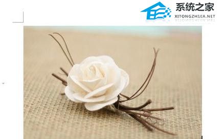 wps修改图片大小