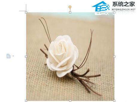 wps修改图片大小