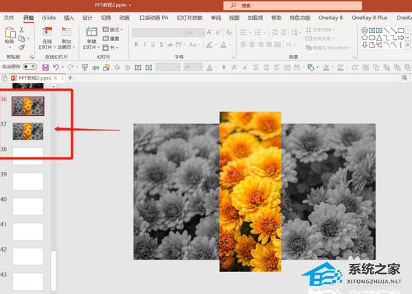 PPT如何制作X光扫描动画效果