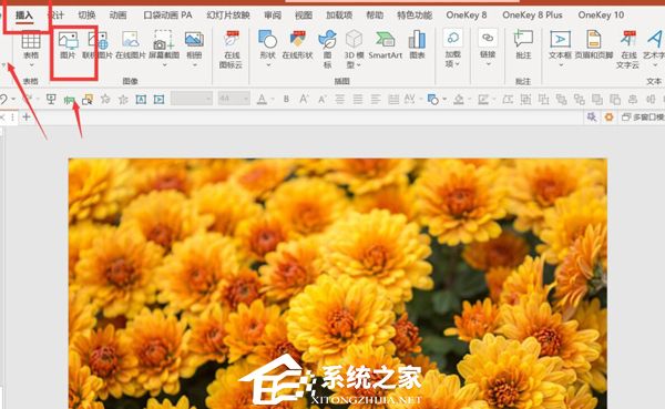 PPT如何制作X光扫描动画效果