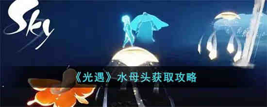 发光水母图片