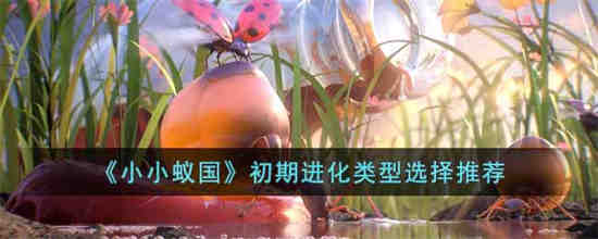 小小蚁国进化后期详细攻略