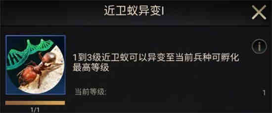小小蚁国进化后期详细攻略