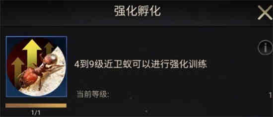 小小蚁国中期发展攻略