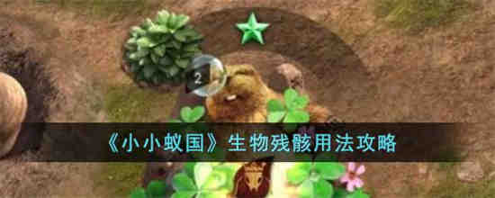 小小蚁国里的生物残骸怎么用