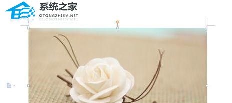 wps背景图片怎么调整大小