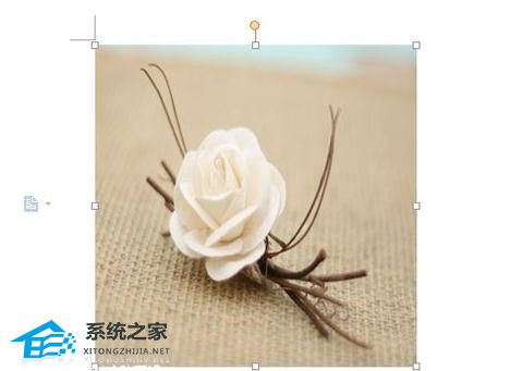 wps背景图片怎么调整大小