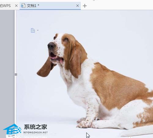 wps怎么让导入的图片移动时不遮挡文字内容