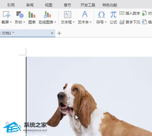 wps怎么让导入的图片移动时不遮挡文字内容