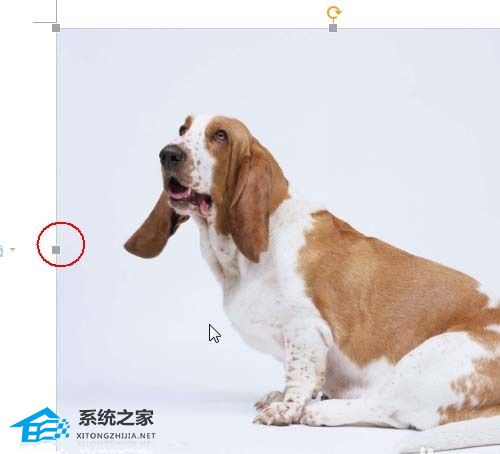 wps怎么让导入的图片移动时不遮挡文字内容