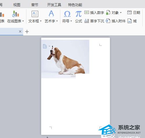 wps怎么让导入的图片移动时不遮挡文字内容