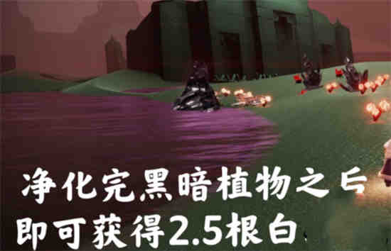 光遇伊甸之眼攻略