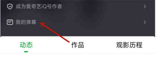 爱奇艺怎么查看自己发的弹幕条数