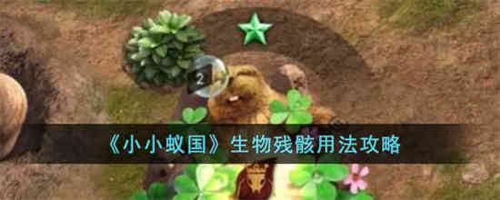 小小蚁国生物残骸怎么使用