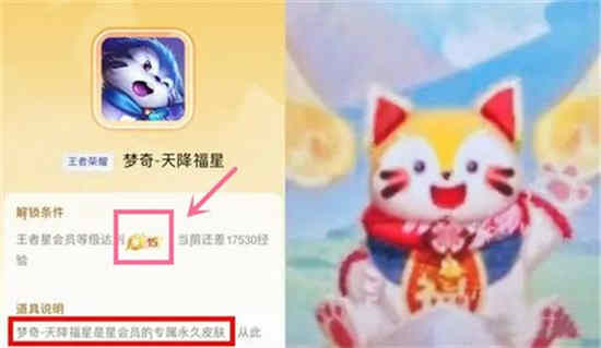 王者荣耀星会员要充钱吗是真的吗