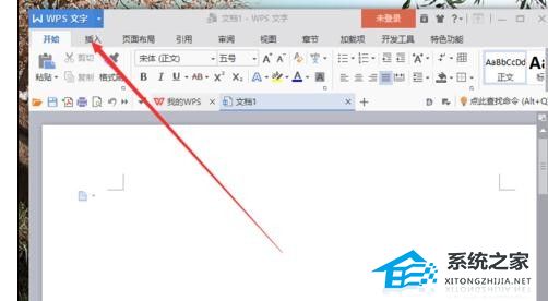 wps标记重复项怎么操作