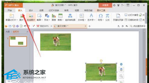 wps图片怎么变换形状