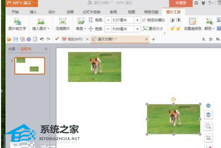 wps图片怎么变换形状