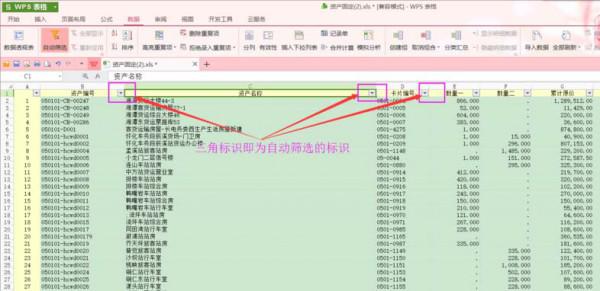 wps怎么把文本筛选变成数字筛选