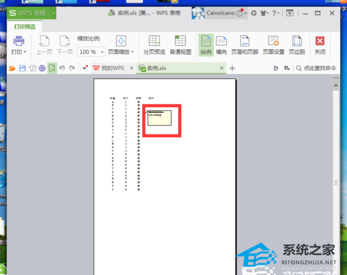 wps表格中如何设置打印时候不显示