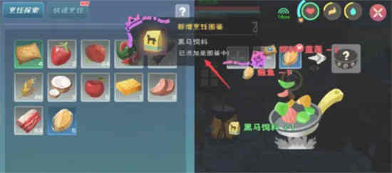 创造与魔法黑马饲料怎么获得?