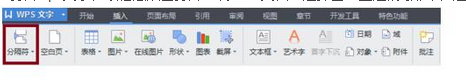 wps中分节符怎么删除
