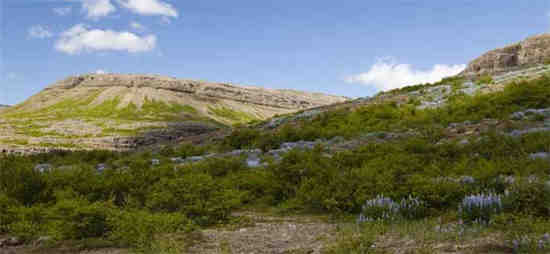 和平精英山谷现实原型