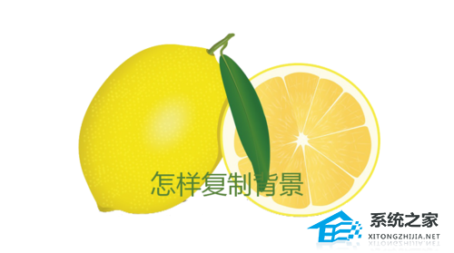 wps怎么把ppt背景复制到另一个ppt