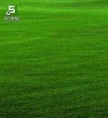 wps2019另存为路径怎么设置