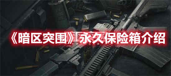 暗区突围永久保险箱