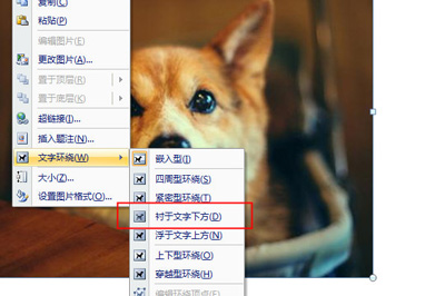 word怎么做九宫格图片