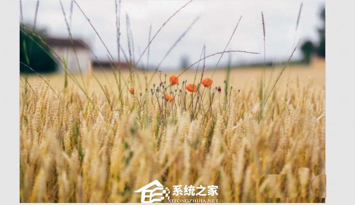 2007版ppt多张图片镂空效果