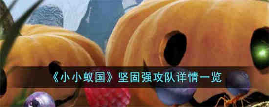 小小蚁国子弹猛蚁值得培养吗