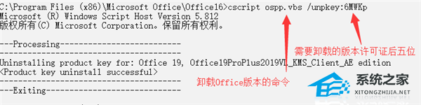 Office 2019降级到2016版本详细教程