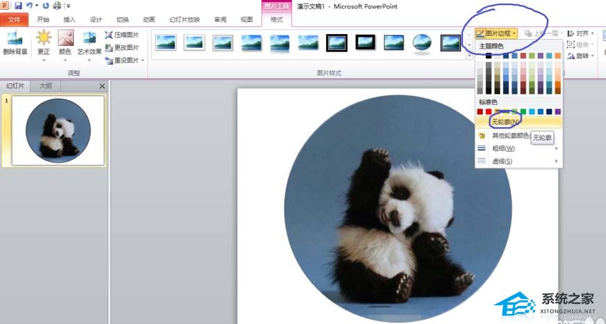 如何将PPT图片裁剪成圆形