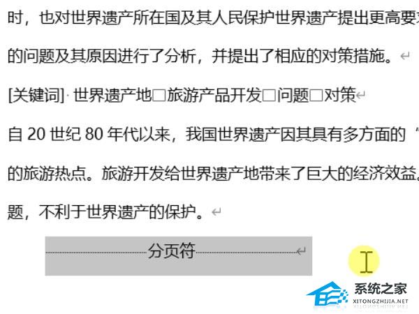 如何删除Word中的分页符