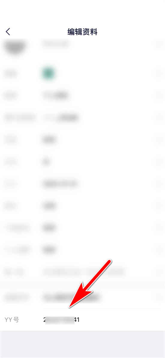 哪里可以查YY个人账户