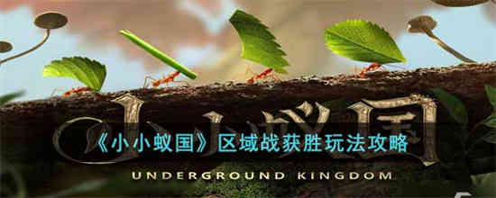 小蚂蚁王国如何玩地区战争